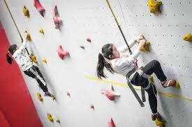 百家乐新手最怕冲动继续（百家乐新手应避免冲动继续下注）