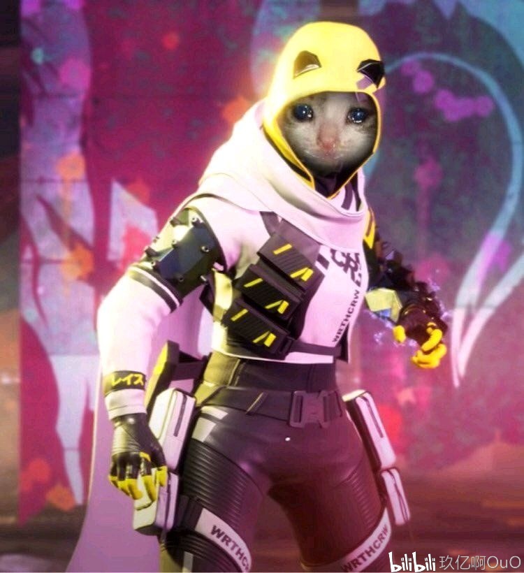 20260 20260